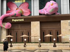 -帕帕拉兹宠物(亚洲旗舰店)