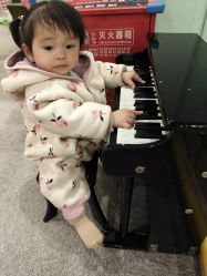 -泡泡米POPOME益智乐园(洪殿花园旗舰店)