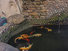 -茶米人花园餐厅