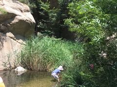 -碓臼峪自然风景区