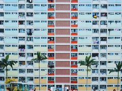 -彩虹村