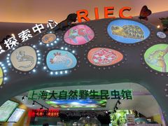 -上海大自然野生昆虫馆(东方明珠·爬宠昆虫探索中心)