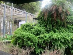 -凤来栖·净庭院·火锅(欧尚店)