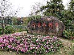 -鹅湖玫瑰文化园