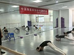 -西安小天鹅艺术团(金花路校区)