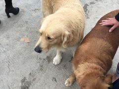 -西涌国际滨海旅游区