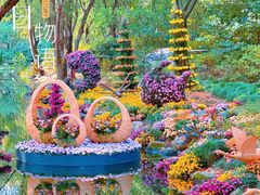 -上海共青森林公园