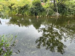 -雅达·阳羡溪山小镇中心