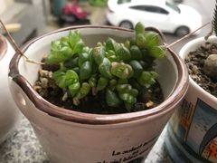 -联合口腔(西环诊所)