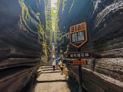 -梭布垭石林景区