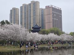 -堤角公园