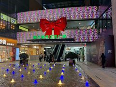 -浦江城市生活广场(江月路店)