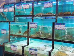 -沈胖子音乐烤吧·炒菜·龙虾(环城东路店)