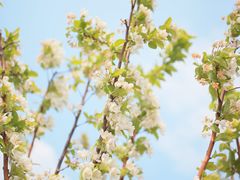 -潭柘厚院&山顶烤肉(潭柘寺店)