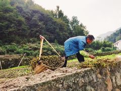 -会稽山峡洞漂流-上青古道