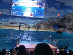 -福州罗源湾海洋世界旅游区