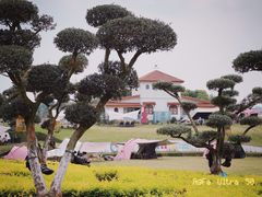 -空港花田景区