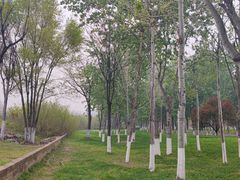 -汉长安城未央宫国家考古遗址公园