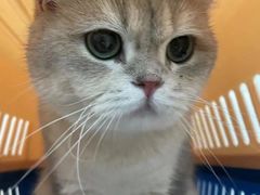 -萌兽医馆·眼科·异宠专科(三里屯店)