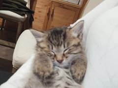 -么么咖啡(燕郊店)