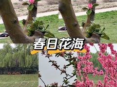 -洨河生态公园