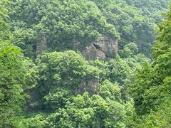 -王莽岭风景区