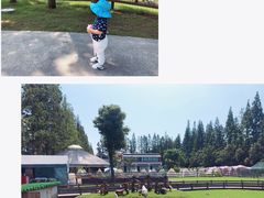 -前小桔亲子创意农场·草莓采摘·露营烧烤