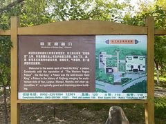 -哈密回王府景区