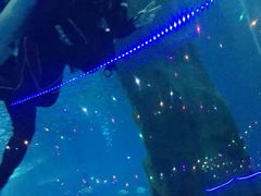 -北戴河圣蓝海洋公园