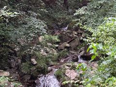 -东天目山风景区