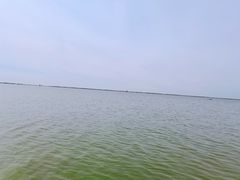 -哈素海