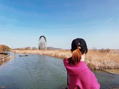-太湖湖滨国家湿地公园-停车场