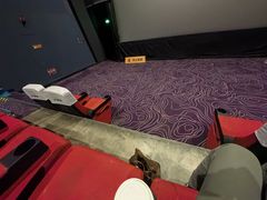 -金逸影城(荟聚IMAX激光店)