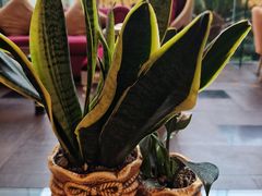 -园林格兰云天大酒店-太极名厨中餐厅