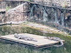 -深圳野生动物园