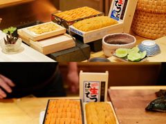 -橼舍鮨青木