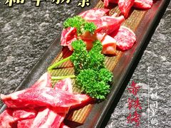 -赤铁扒拉锅·烤串·烤鸽子