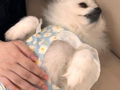 -怪兽屋·羊驼·猫咖·狗咖(俊华广场店)