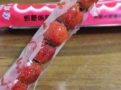 -和禄德冰糖葫芦