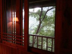 -祁门牯牛降观音堂风景区