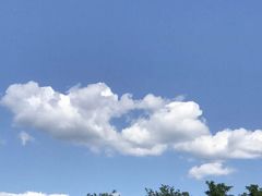 -明泽陆通汽车陪练(总店)