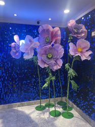 点击看大图 -深圳春天阳光医院·轮廓抗衰中心