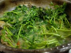 -凯盈阁·顺德私房菜·桑拿鸡