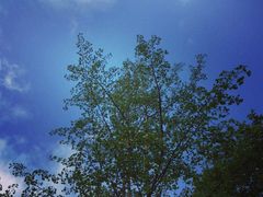 外景-亦缘居私家别院