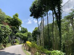 -新加坡飞禽公园
