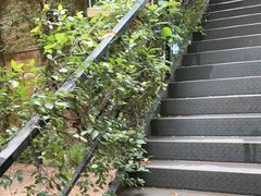 -宅里香.自然餐厅(湘大店)