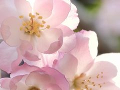 -徐家汇源景区-衡山公园