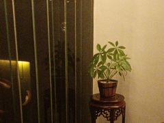 -小资太太(中央大街店)
