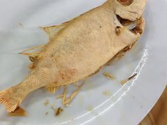 -长平肥姐白粥·海鲜打冷