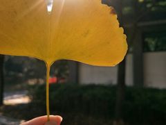 -绍兴鉴湖君澜大酒店